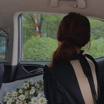 历险小恐龙12：快乐飞行